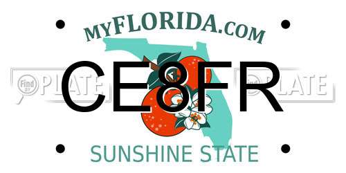 CE8FR Florida License Plate