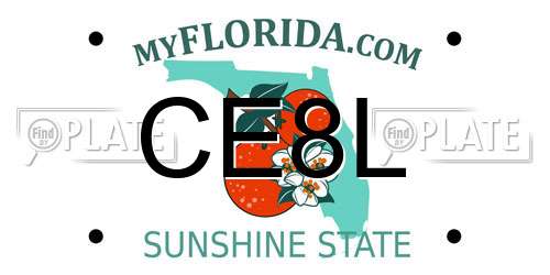 CE8L Florida License Plate