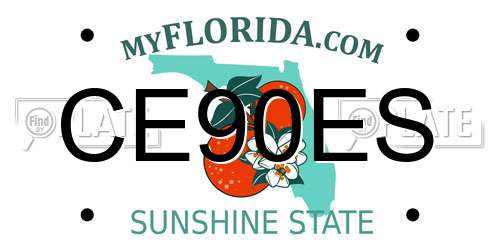 CE90ES Florida License Plate