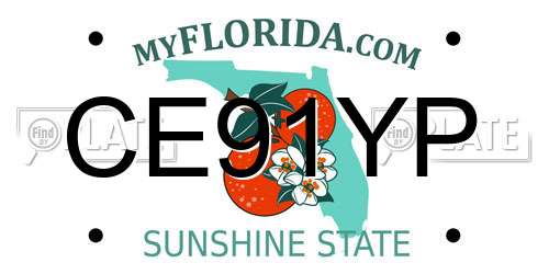 CE91YP Florida License Plate