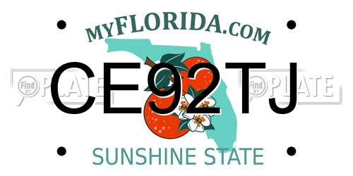 CE92TJ Florida License Plate