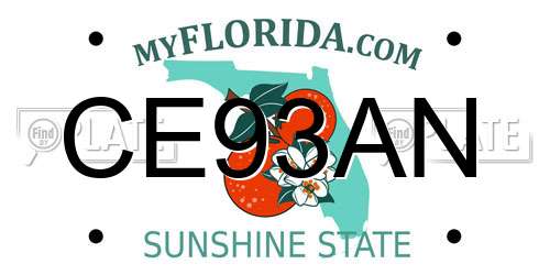 CE93AN Florida License Plate