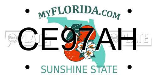 CE97AH Florida License Plate