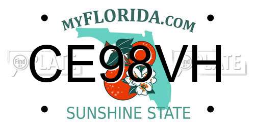 CE98VH Florida License Plate