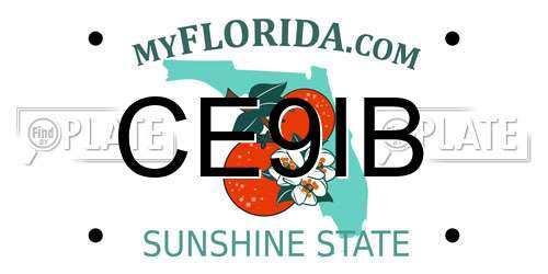 CE9IB Florida License Plate