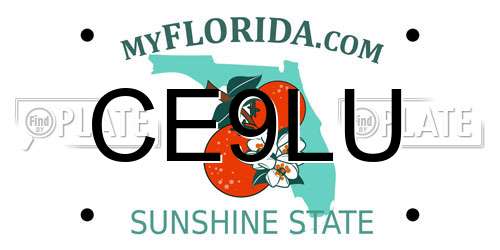 CE9LU Florida License Plate