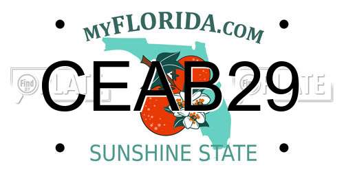 CEAB29 Florida License Plate