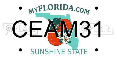 CEAM31 Florida License Plate