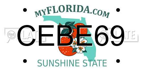 CEBE69 Florida License Plate