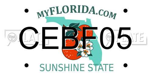 CEBF05 Florida License Plate