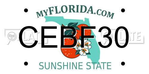 CEBF30 Florida License Plate