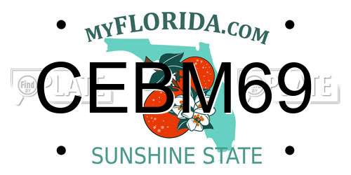 CEBM69 Florida License Plate