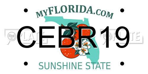 CEBR19 Florida License Plate
