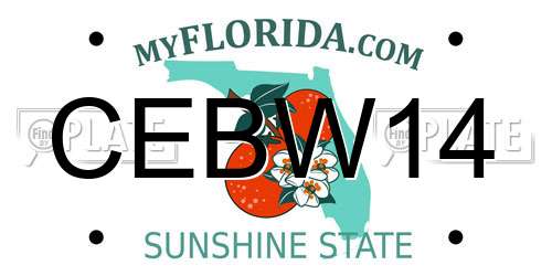 CEBW14 Florida License Plate