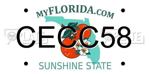 CECC58 Florida License Plate