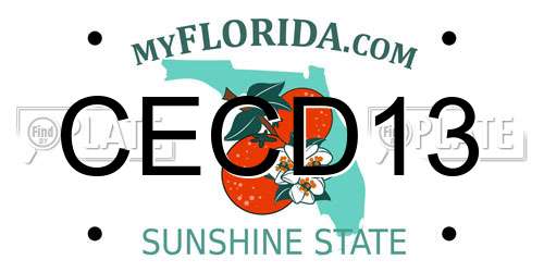 CECD13 Florida License Plate