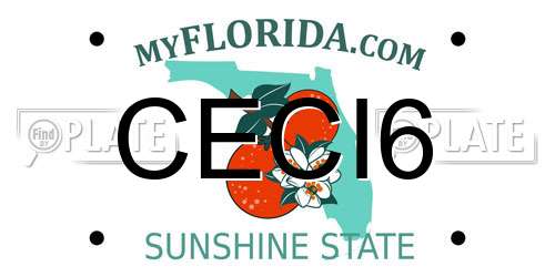 CECI6 Florida License Plate