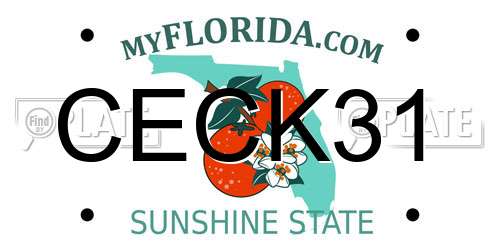 CECK31 Florida License Plate