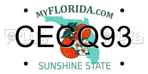CECQ93 Florida License Plate