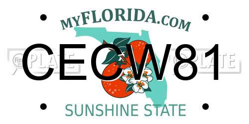 CECW81 Florida License Plate
