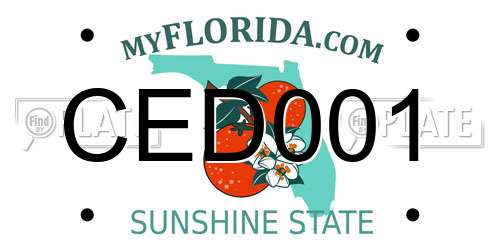 CED001 Florida License Plate