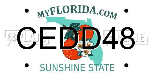 CEDD48 Florida License Plate