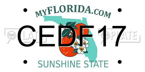CEDF17 Florida License Plate