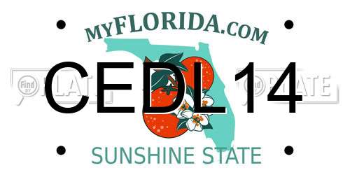 CEDL14 Florida License Plate