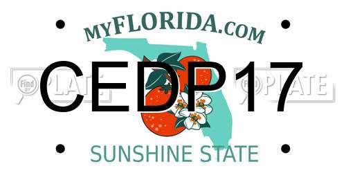 CEDP17 Florida License Plate