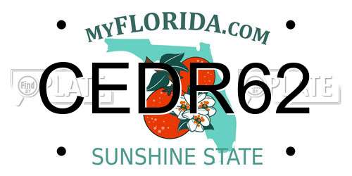CEDR62 Florida License Plate