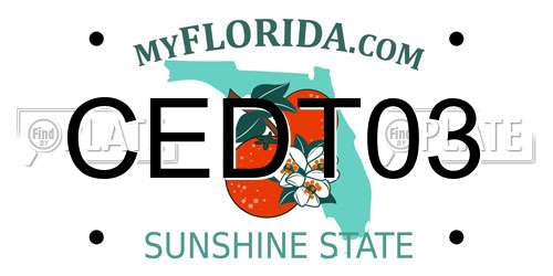 CEDT03 Florida License Plate