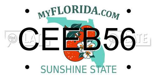 CEEB56 Florida License Plate