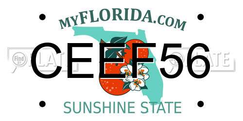 CEEF56 Florida License Plate