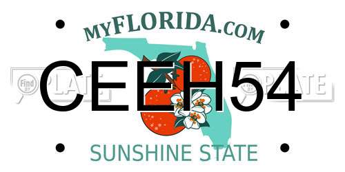 CEEH54 Florida License Plate