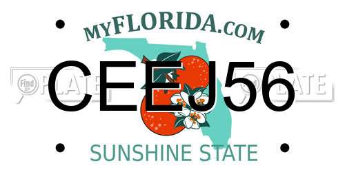 CEEJ56 Florida License Plate