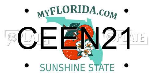 CEEN21 Florida License Plate