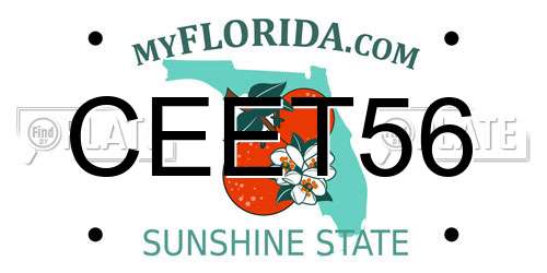 CEET56 Florida License Plate