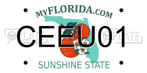 CEEU01 Florida License Plate