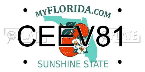 CEEV81 Florida License Plate