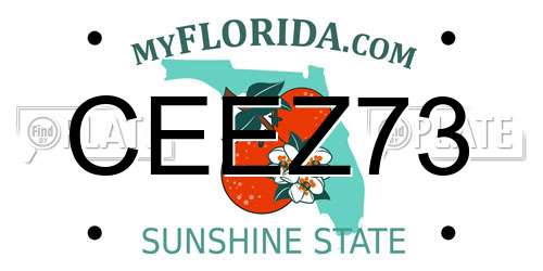 CEEZ73 Florida License Plate