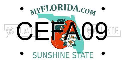 CEFA09 Florida License Plate