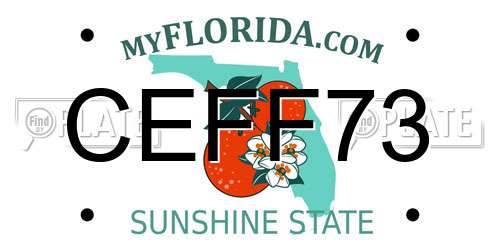CEFF73 Florida License Plate