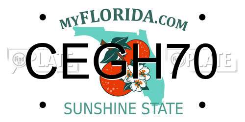 CEGH70 Florida License Plate