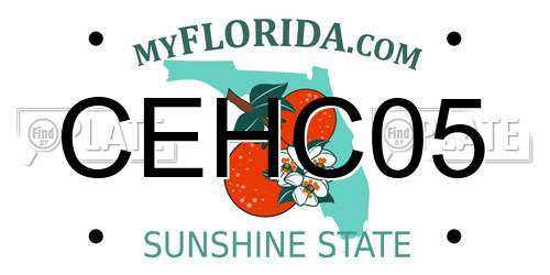 CEHC05 Florida License Plate