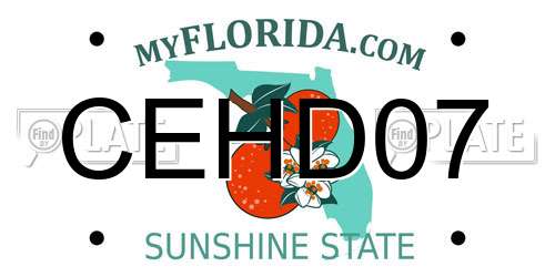 CEHD07 Florida License Plate