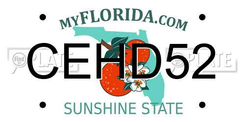 CEHD52 Florida License Plate