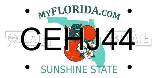 CEHJ44 Florida License Plate
