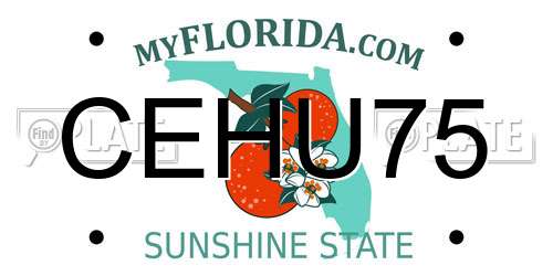 CEHU75 Florida License Plate