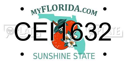 CEI1632 Florida License Plate