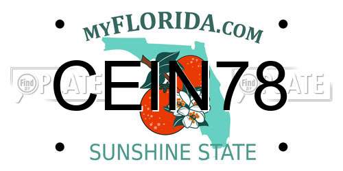 CEIN78 Florida License Plate